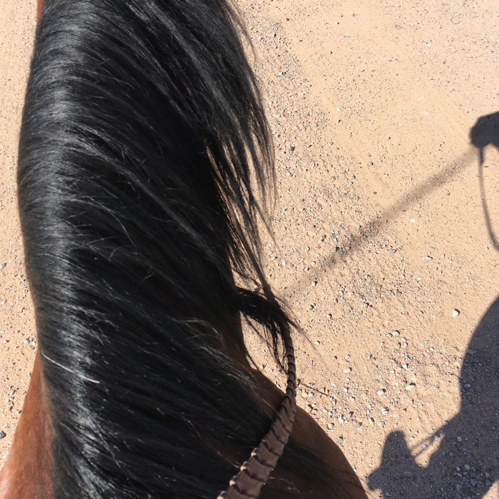 Riding forever! - Picture 4 of 7